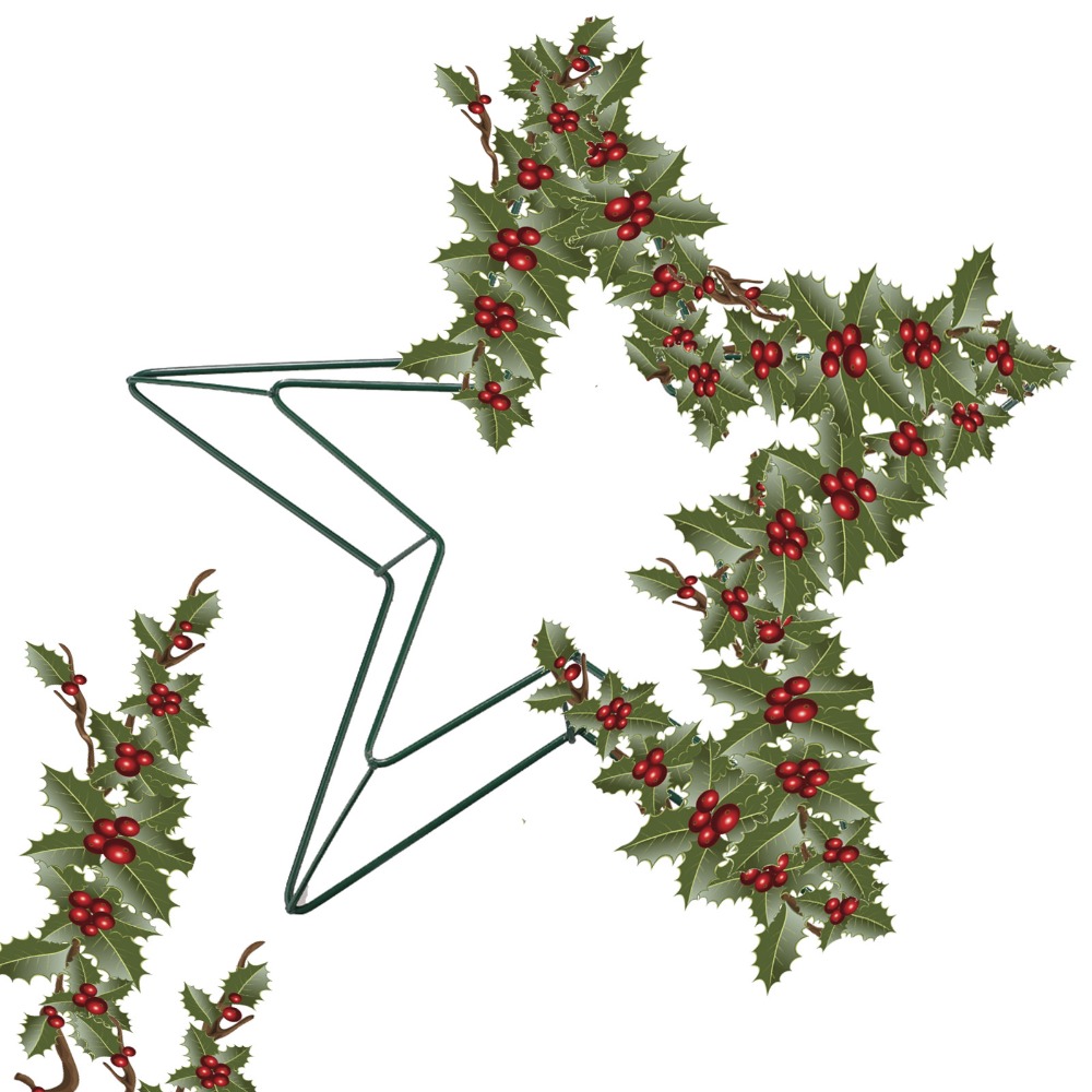 Personalizable Metal Wire Star - Wreath Form Wire recension och pris