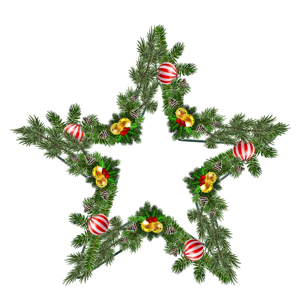 Floral Crafts Metal Wire Star  - Wreath Form Wire recension och pris